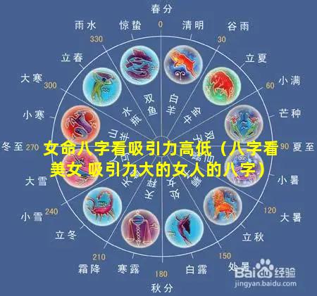 女命八字看吸引力高低（八字看美女 吸引力大的女人的八字）
